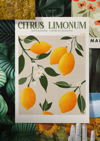 Posters - Botanical