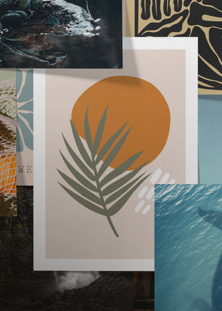Posters - New Products