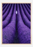 SHE Poster