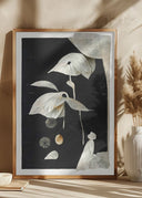 The Seed Poster
