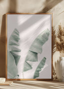 Blush Banana Leaves Poster