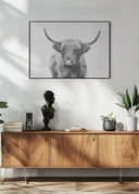 Highland Bull Poster