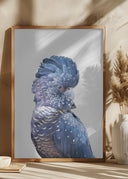 Black Cockatoo Poster