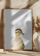 Baby Duck Poster