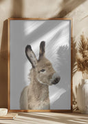 Baby Donkey Poster