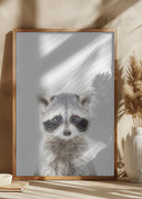 Baby Racoon Poster
