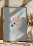 Cockatoo Poster