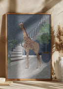 Giraffe by the stairs Poster