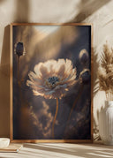 Flower in Morning Sun Poster