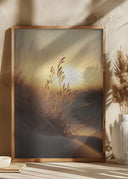 Evening Sun At The Beach Poster