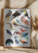 Birds of Paradise Poster