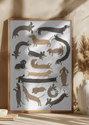 Dachshund Print Poster