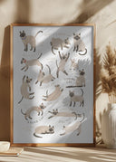 Siamese Cat Print Poster