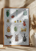 Bugs Poster
