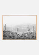Western Cactus Poster