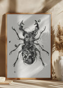 Stagbeetle Poster