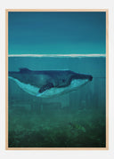 Blue Whale Poster I
