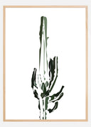 Cactus Poster