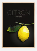 Lemon Poster I