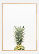 Pineapple Poster II