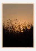 Sneak Peak On Sun Poster