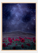 The poppyfield