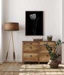 Tulip Poster II