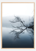 Water Reflection Poster
