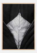 Waterdrop Leaves Poster