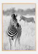 Zebra Bw Poster