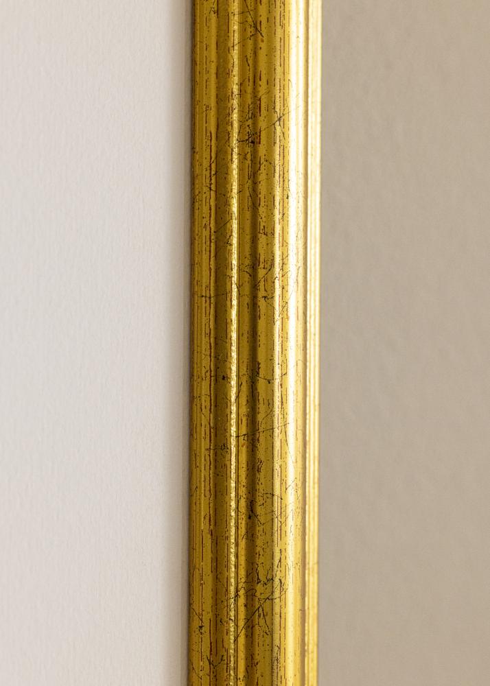 Galleri 1 Frame Vstkusten Acrylic Glass Gold 19.69x19.69 inches (50x50 cm)