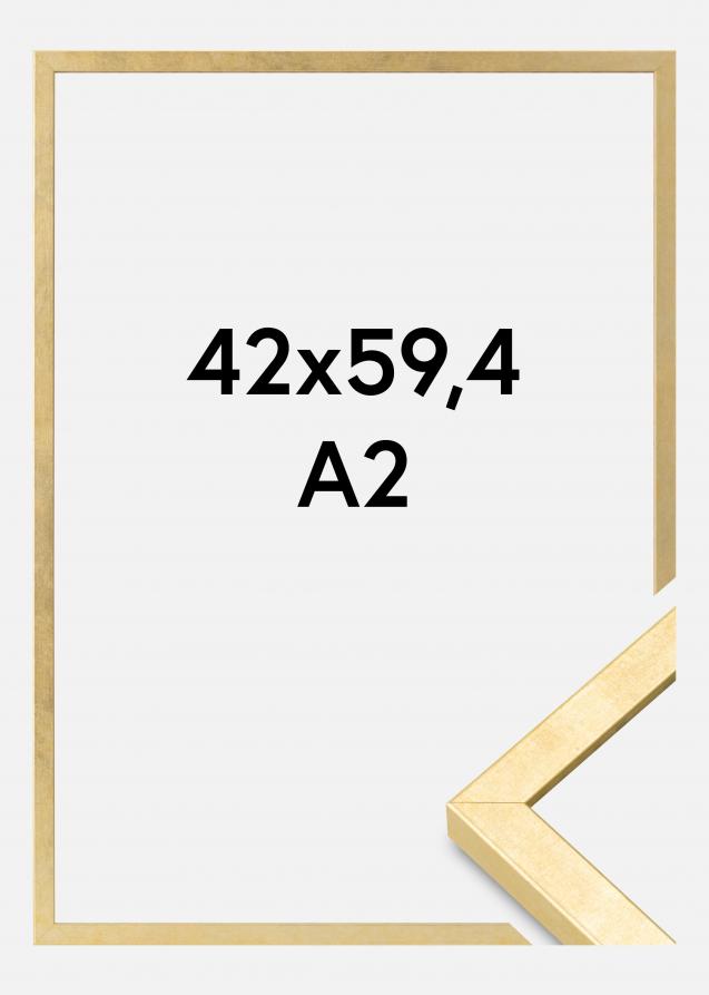 Mavanti Frame Ares Acrylic Glass Gold 16.54x23.39 inches (42x59.4 cm - A2)
