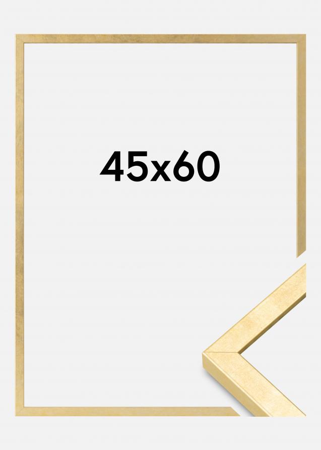 Mavanti Frame Ares Acrylic Glass Gold 17.72x23.62 inches (45x60 cm)