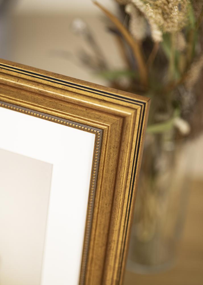 Estancia Frame Rokoko Acrylic glass Gold 23.62x35.43 inches (60x90 cm)