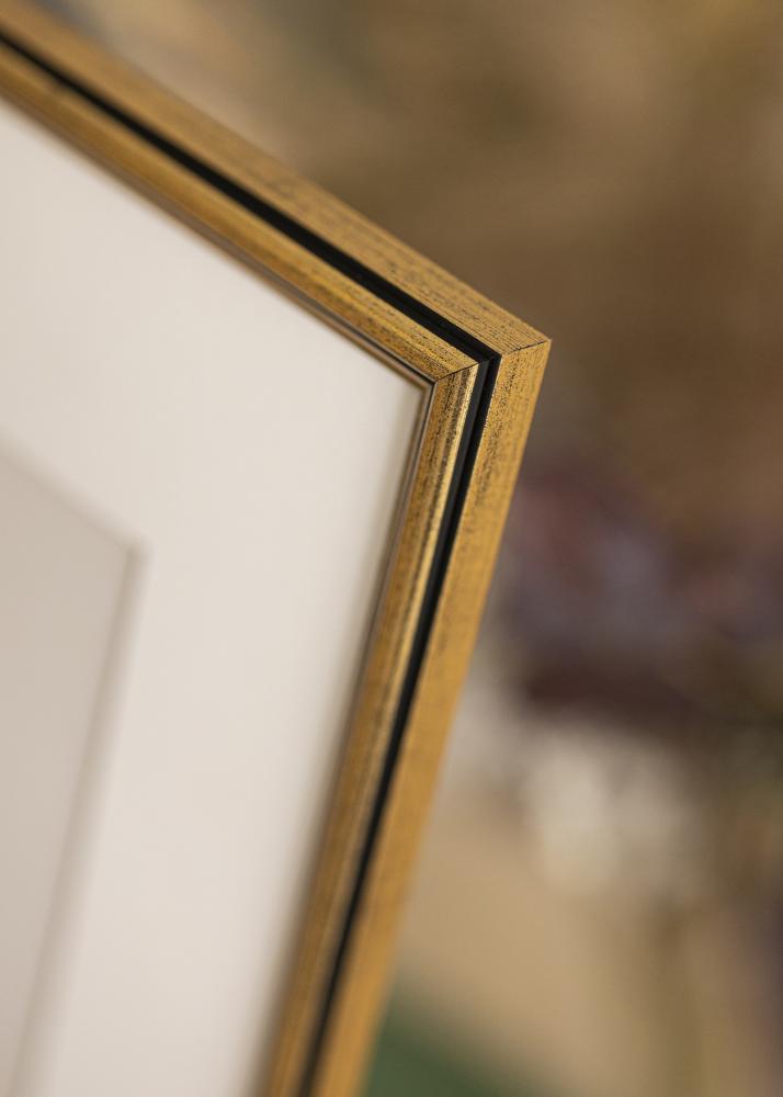 Ram med passepartou Frame Horndal Gold 24x30 cm - Picture Mount White 7x9 inches