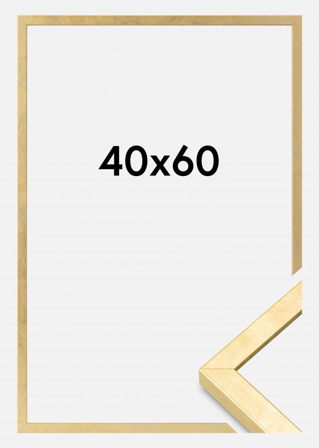 Mavanti Frame Ares Acrylic Glass Gold 15.75x23.62 inches (40x60 cm)