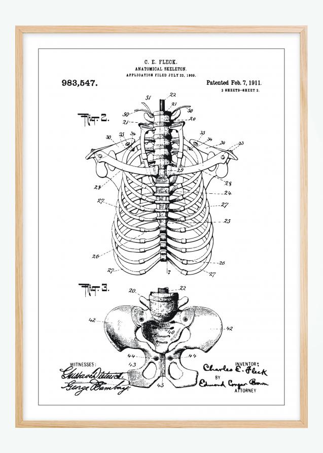 Bildverkstad Patent drawing - Anatomical Skeleton II Poster