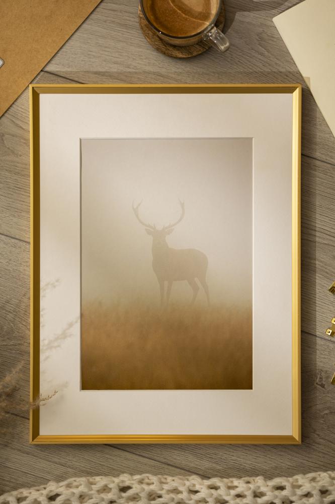 Walther Frame Desire Acrylic glass Gold 7.87x11.81 inches (20x30 cm)