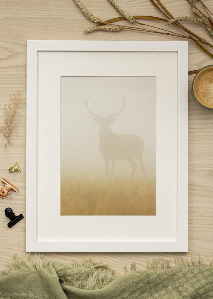 Ram med passepartou Frame White Wood 40x50 cm - Picture Mount White 12x16 inches