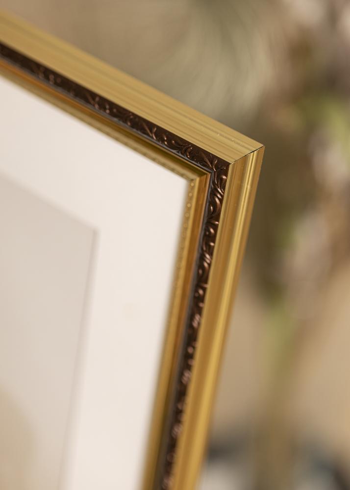 Galleri 1 Frame Abisko Acrylic glass Gold 8.27x11.69 inches (21x29.7 cm - A4)