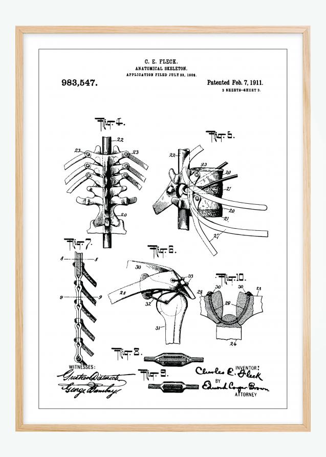 Bildverkstad Patent drawing - Anatomical Skeleton III Poster