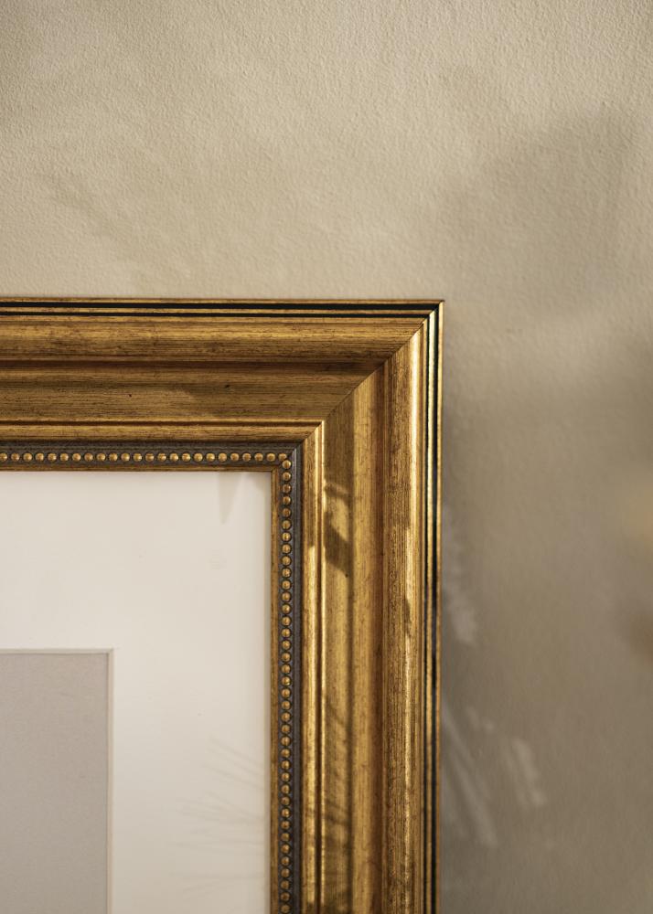 Estancia Frame Rokoko Acrylic glass Gold 23.62x35.43 inches (60x90 cm)