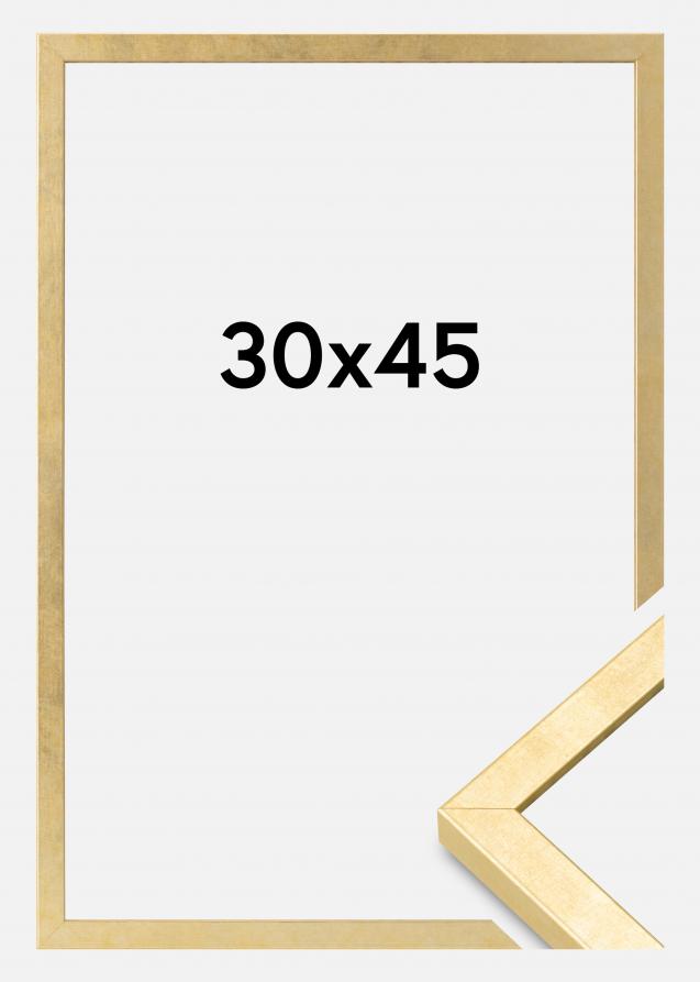 Mavanti Frame Ares Acrylic Glass Gold 11.81x17.72 inches (30x45 cm)