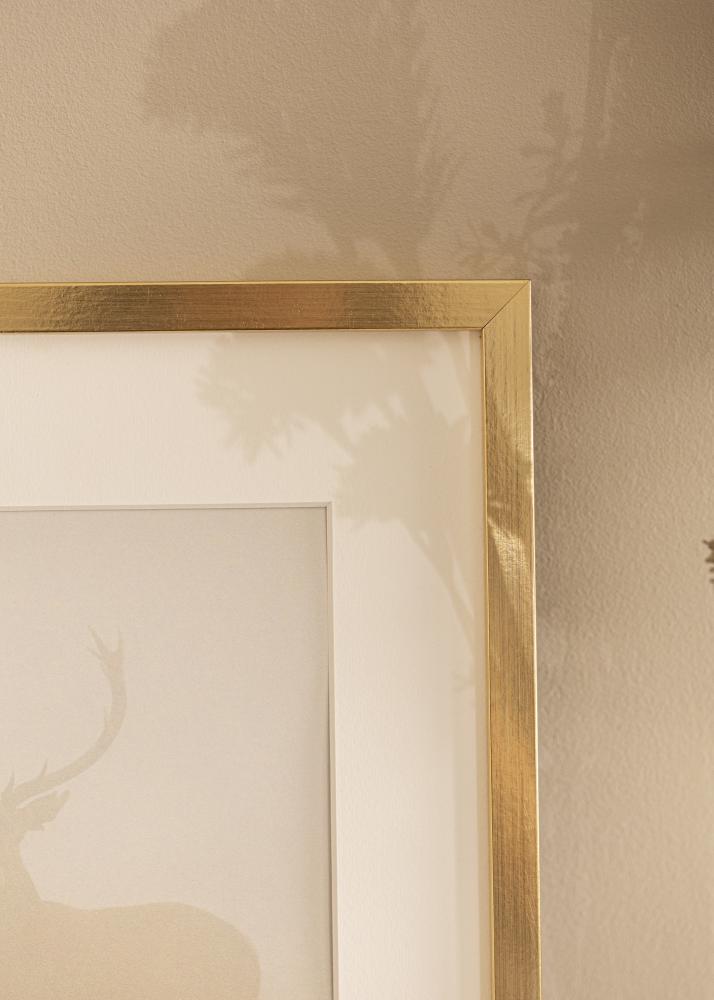Artlink Frame Trendy Acrylic Glass Gold 15.75x23.62 inches (40x60 cm)