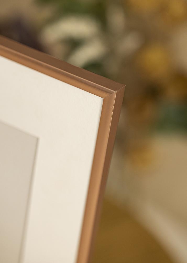 BGA Frame Scandi Acrylic glass Rose Gold 15.75x23.62 inches (40x60 cm)