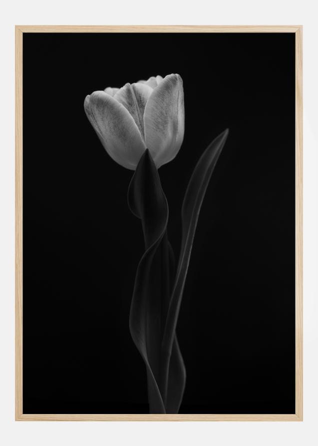 Bildverkstad Tulip Poster