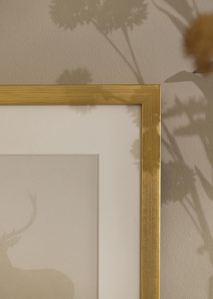 Galleri 1 Frame Falun Acrylic glass Gold 27.56x39.37 inches (70x100 cm)