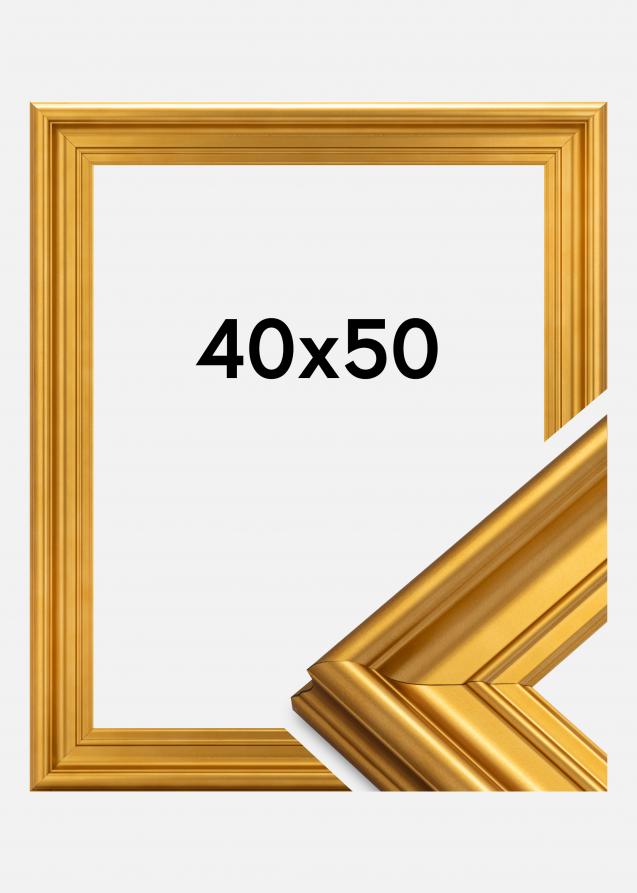 Galleri 1 Frame Mora Premium Acrylic glass Gold 15.75x19.69 inches (40x50 cm)