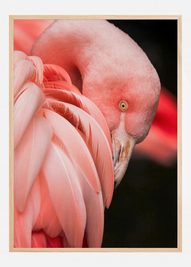 Bildverkstad Flamingo Poster