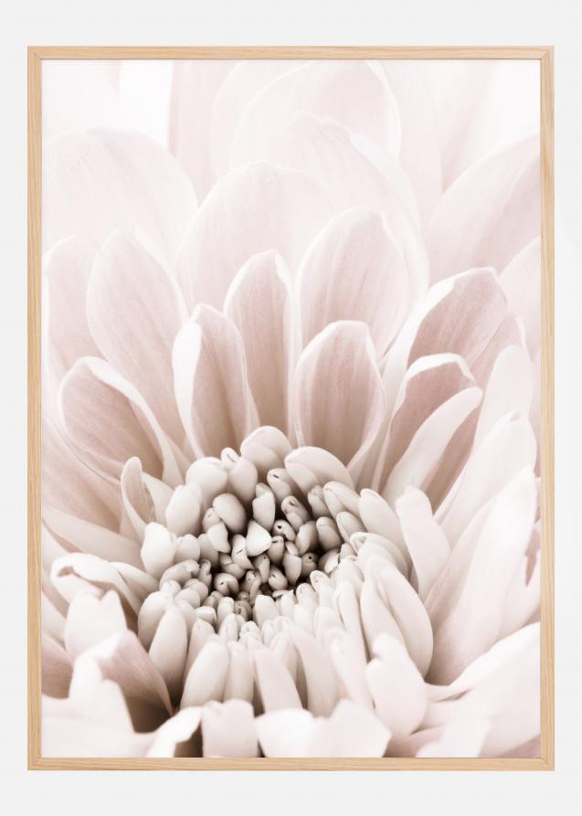 Bildverkstad Chrysanthemum I Poster